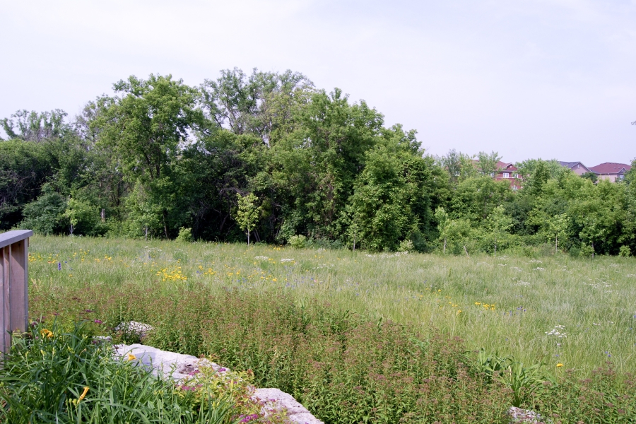 Meadowvale Natural burial area