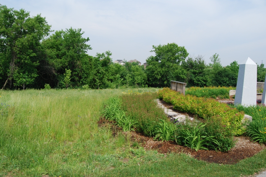 long grassy area at Meadowvale
