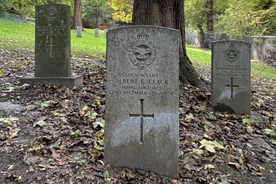 stone graves surrounded by trees
