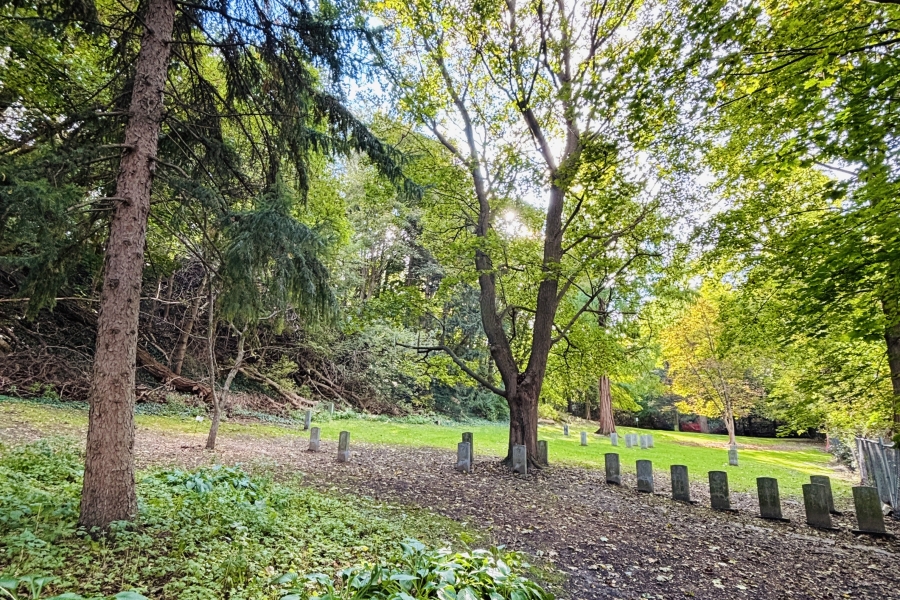 short graves surrounded by trees
