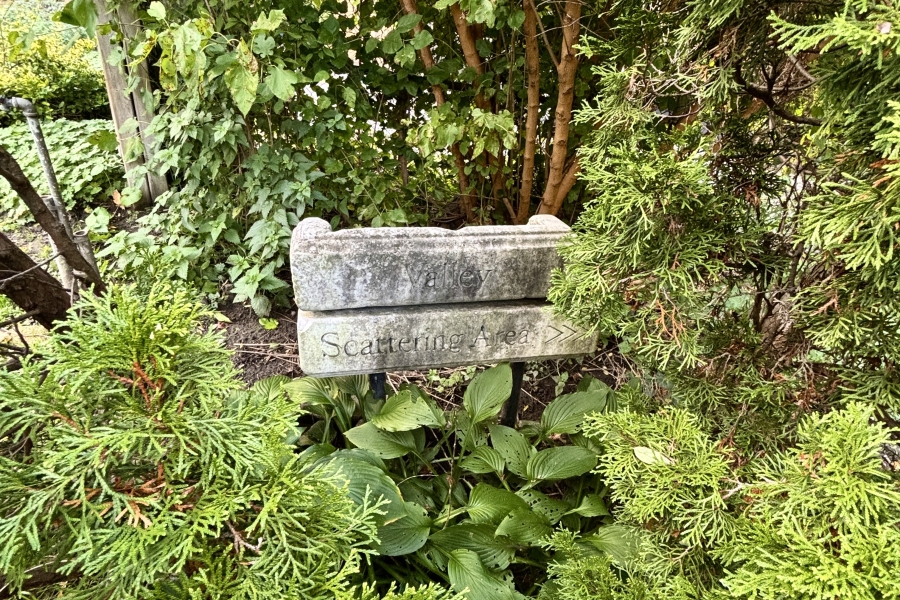 stone graves surrounded by trees