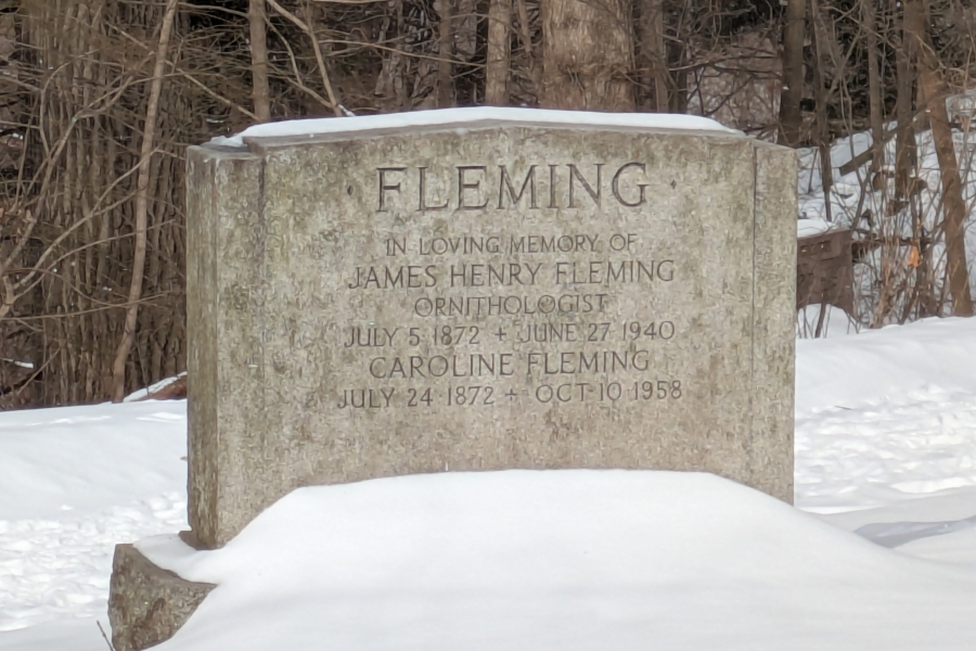 headstone covered in snow