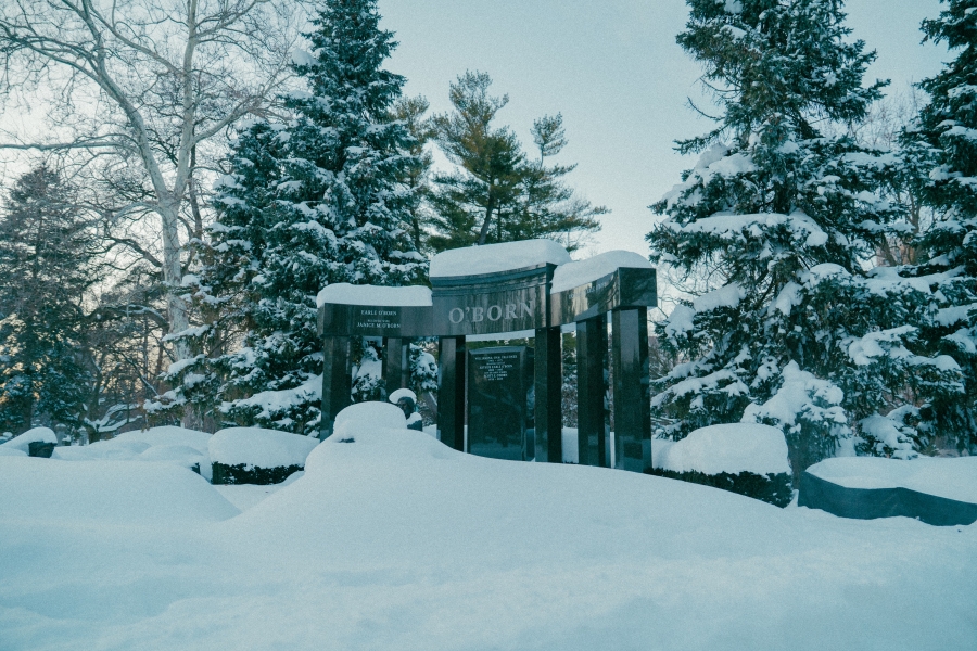 Snow‑covered cemetery scene featuring the Oborn family monument, a low, polished dark stone memorial with multiple engraved panels. Tall evergreen trees and leafless branches surround the monument, with deep snow covering the ground in a winter landscape.