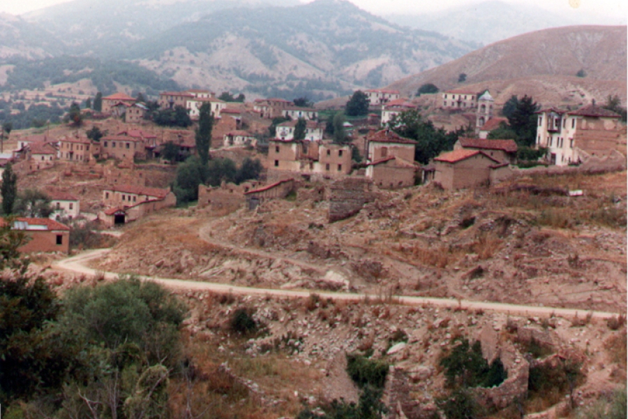 houses and trees with brown grass