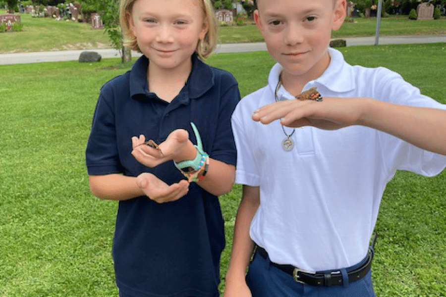 two young boys holding butterflies