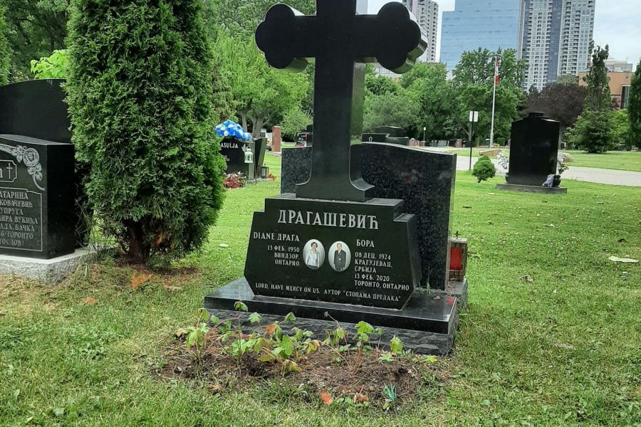 gravestone surrounded by trees