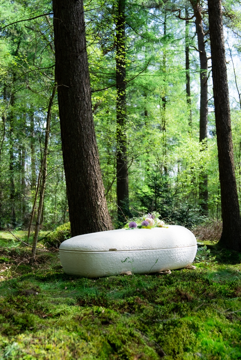 cocoon casket in the forest