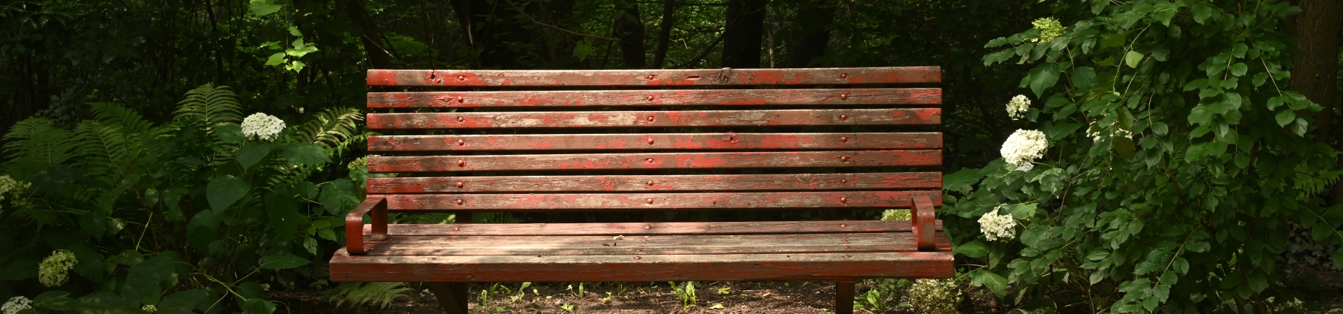 bench