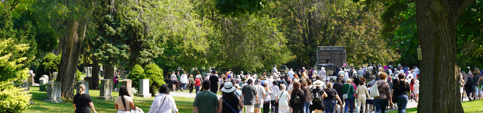 people walking in the cemetery surrounded by trees