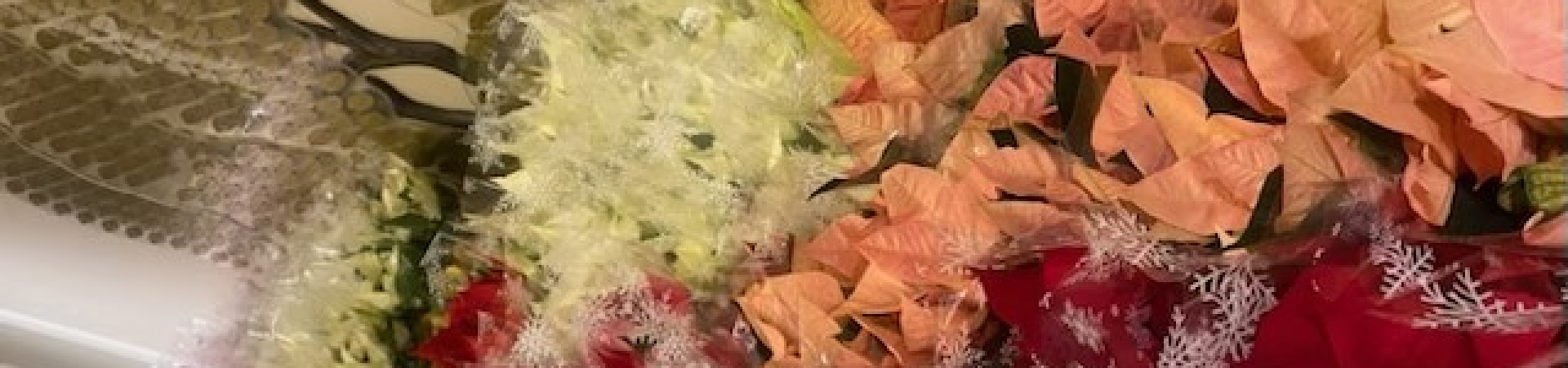 colourful flowers on a bench