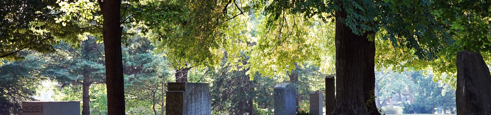 Peaceful view of Mount Pleasant Cemetery
