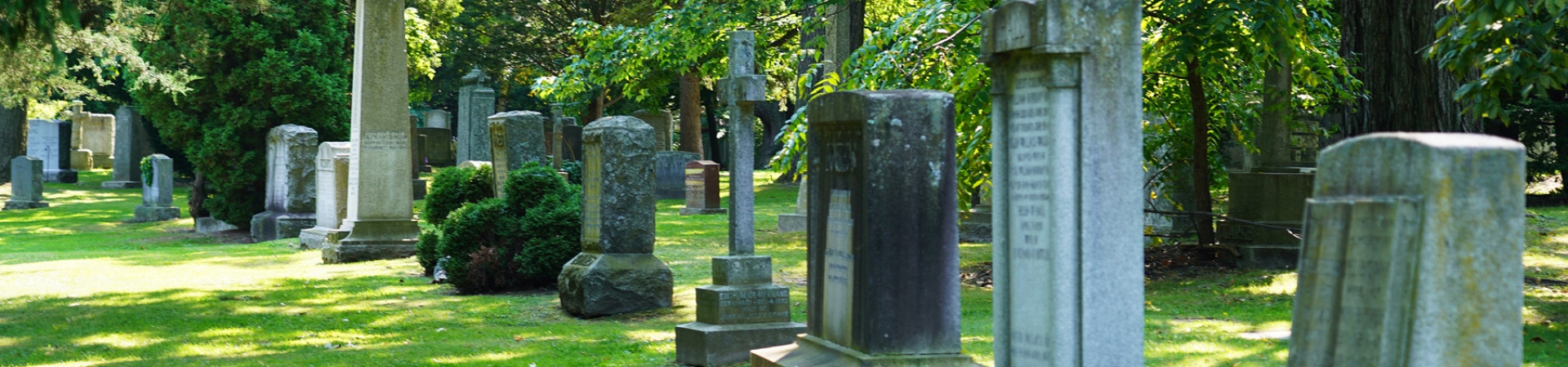 standing monuments at Mount Pleasant Cemetery