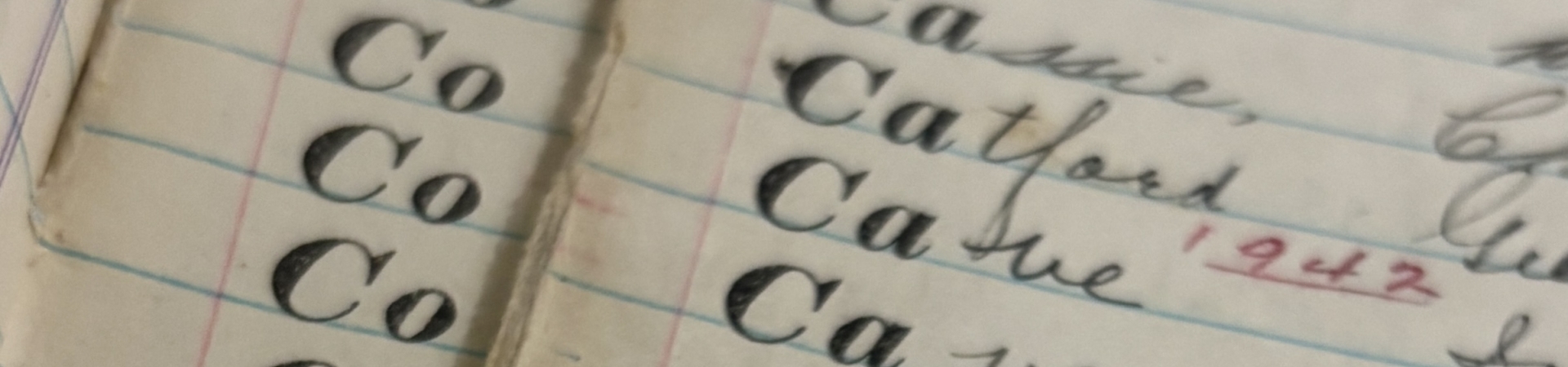 Close‑up of an open handwritten ledger showing neat cursive entries written in black ink on lined paper, with repeated surnames listed in columns across facing pages.