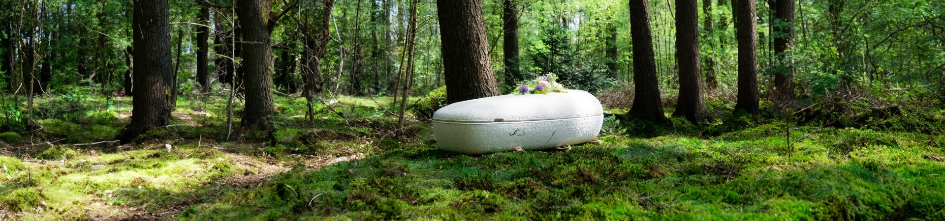 cocoon casket in the forest